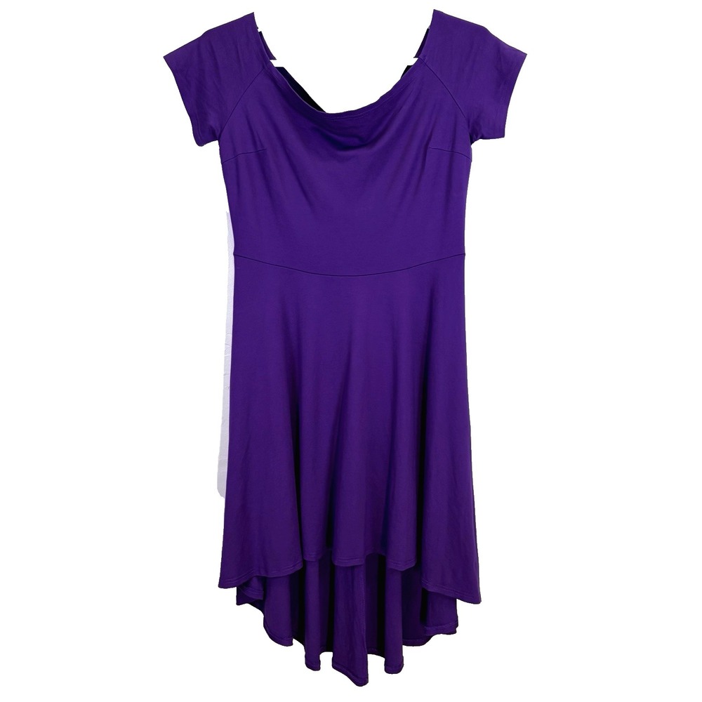 Sarin Mathews Off the Shoulder Cocktail Skater Dress Size 2X Purple High low Hem